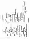 Fig. 15 - Biofuel production by recombinant microorganisms