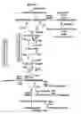Fig. 17 - Biofuel production by recombinant microorganisms