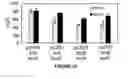 Fig. 48 - Biofuel production by recombinant microorganisms