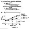Fig. 53 - Biofuel production by recombinant microorganisms