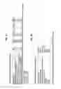 Fig. 02 - Cell-permeabilising peptides and polypeptides for microbial cells