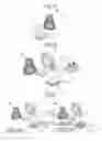 Fig. 07 - Wireless communication device and power receiving device
