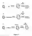 Fig. 08 - Methods to produce polymer nanoparticles and formulations of active ingredients