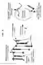 Fig. 04 - Enhanced transport using membrane disruptive agents