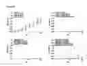 Fig. 07 - Cyclic receptor-associated protein (RAP) peptides