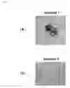 Fig. 03 - Swellable crosslinked hyaluronan powder and method for producing the same