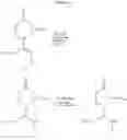 Fig. 154 - Therapeutic agents useful for treating pain