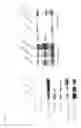 Fig. 04 - METHODS OF TREATMENT USING SIRT MODULATORS AND COMPOSITIONS CONTAINING SIRT1 MODULATORS