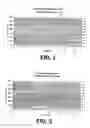 Fig. 02 - Process for preparing cold water swelling phosphate-cross-linked gelatinised starch
