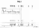 Fig. 02 - Photopolymerizable functional radical-containing organosilicon compound and making method