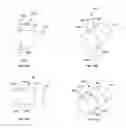 Fig. 10 - Implants including spacers for use in brachytherapy and other radiation therapy that resist migration and rotation