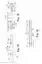 Fig. 10 - Surgical implants and related methods and systems
