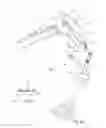 Fig. 02 - Shoulder orthosis