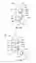 Fig. 46 - Apparatus and methods for self-administration of vaccines and other medicaments