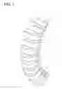 Fig. 02 - Flexible, sliding, dynamic implant system, for selective stabilization and correction of the vertebral column deformities and instabilities