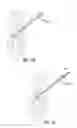 Fig. 07 - TACK FOR SPINE FIXATION