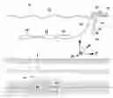 Fig. 01 - INTERPOLATING A PRESSURE WAVEFIELD ALONG AN UNDERSAMPLED DIRECTION
