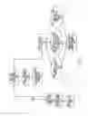 Fig. 04 - Life Planning Services For Disabled Individuals