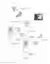 Fig. 02 - Acquisition of items offered for purchase online through a global positioning system