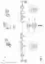 Fig. 02 - Synchronizing metadata describes user content updates and an indication of user gestures being performed within the document, and across client systems using different communication channels