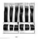 Fig. 02 - Composition for permanent or semipermanent tinting of keratin fibers with oil-in-glycol lamellar gel