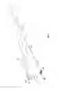 Fig. 02 - Gin Pole Device for Raising and Lowering a Tower