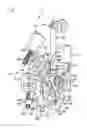 Fig. 06 - Door latch device for a motor vehicle