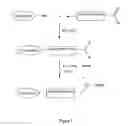 Fig. 02 - Dye including an anchoring group in its molecular structure