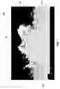 Fig. 02 - Polycrystalline diamond compact including a cemented tungsten carbide substrate that is substantially free of tungsten carbide grains exhibiting abnormal grain growth and applications therefor