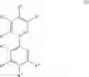 Fig. 12 - Phosphorescent polymer compound based on iridium polymer complex and organic electroluminescent device utilizing the same