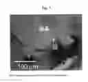 Fig. 03 - Method of producing a single-crystal thin film of an organic semiconductor compound