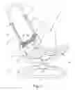 Fig. 02 - Device for a reclining chair