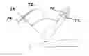 Fig. 01 - Vehicle seat backs