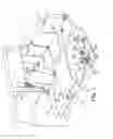 Fig. 02 - Integrated seat fold-down lever/belt exit