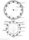 Fig. 06 - Magnetic Motor With Associated Alternator