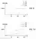 Fig. 10 - System and method for electronic adaptive front-lighting