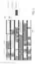 Fig. 02 - Camouflaging a standard cell based integrated circuit