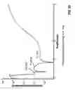 Fig. 08 - Trench device structure and fabrication