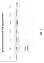 Fig. 08 - Passive microwave fire and intrusion detection system