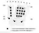 Fig. 01 - Radar device and echo data processing device