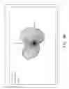 Fig. 08 - Antenna with double groundings