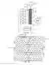 Fig. 07 - APPARATUS FOR PROVIDING LIGHT SOURCE MODULATION IN DUAL MODULATOR DISPLAYS