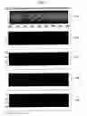 Fig. 07 - DATA DISPLAY APPARATUS, DATA DISPLAY METHOD AND PROGRAM