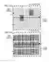 Fig. 08 - Recording control system