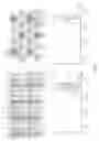 Fig. 06 - Method and system of forming a stereo image