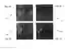 Fig. 06 - FLUORESCENCE FOCAL MODULATION MICROSCOPY SYSTEM AND METHOD