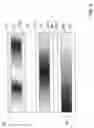 Fig. 06 - Image display capable of being an electronic curtain