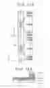 Fig. 21 - Liquid crystal display device