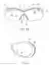 Fig. 06 - Flexible eyewear frame with rigid lens retainer