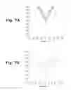 Fig. 07 - Alignment system and alignment marks for use therewith